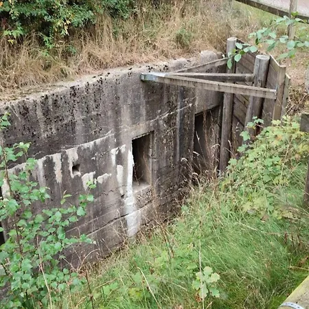 Nyaraló 5 Person In Toftlund-by Traum *