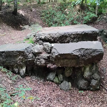 5 Person In Toftlund-by Traum